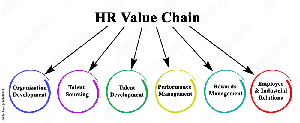 Components of HR Value Chain Stock Illustration | Adobe Stock