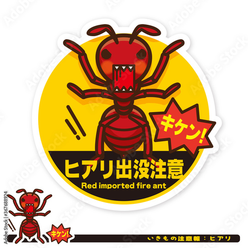 いきもの注意報：ヒアリ出没注意サイン