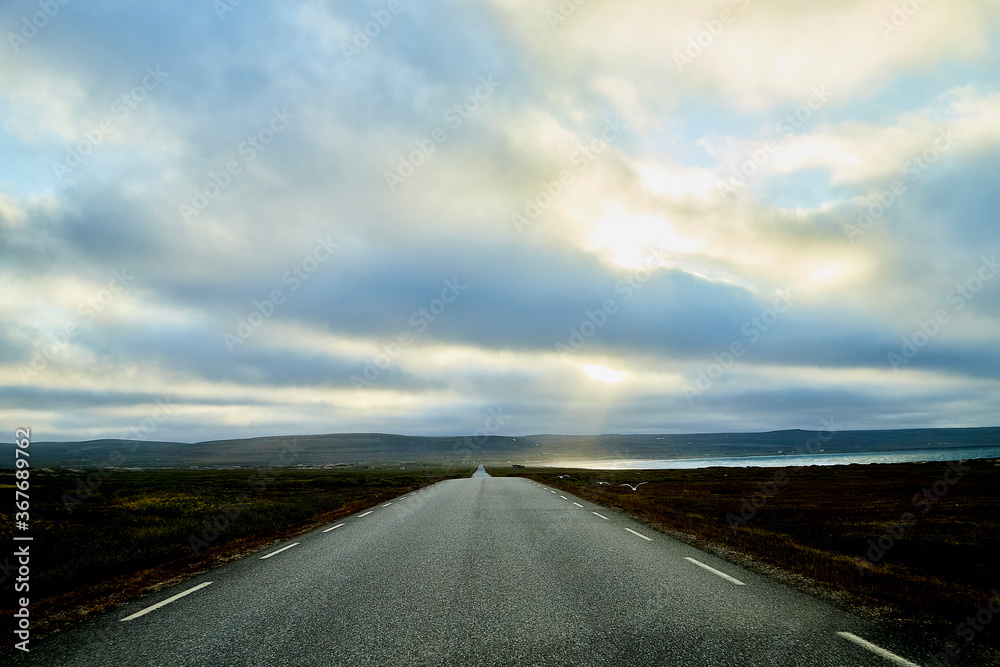 Fototapeta premium Landscape with road in tundra in Norway at cloudy evening