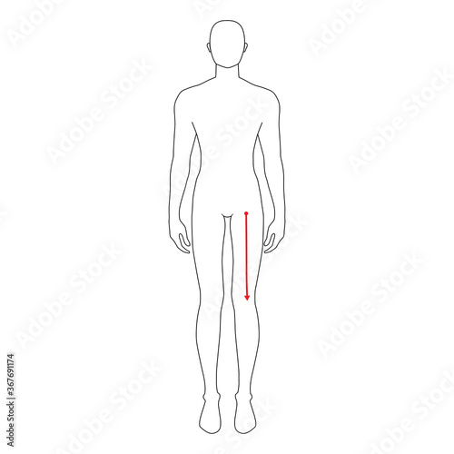 Men to do crotch to knee measurement fashion Illustration for size chart. 7.5 head size boy for site or online shop. Human body infographic template for clothes. 