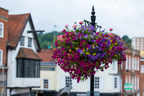 flowers in the street in the city - Guildford Surrey United Kingdom