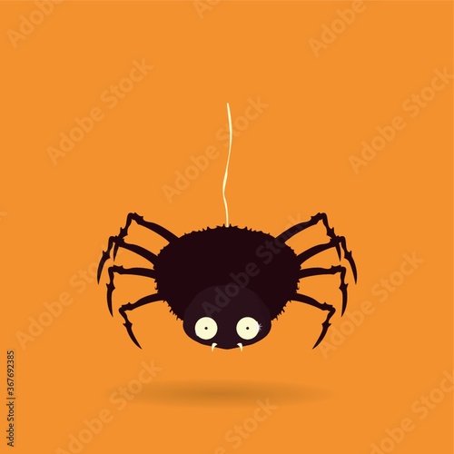 spider
