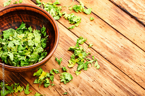 Dried parsley leaves for cooking