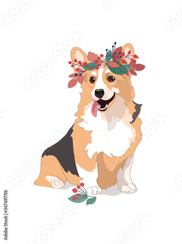 Steep autumn poster Corgi dog  vector cartoon illustration. Cute friendly welsh corgi puppy sitting  smiling with tongue out isolated on white. Pets  animals canine theme design element in flat style