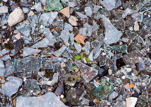 Wallpaper Mural 
background texture pieces of broken glass Torontodigital.ca
