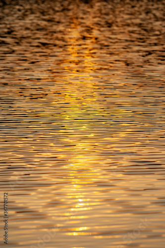 glare on the lake (golden) 