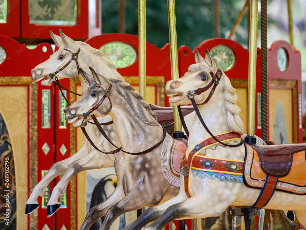 carousel horse and horses