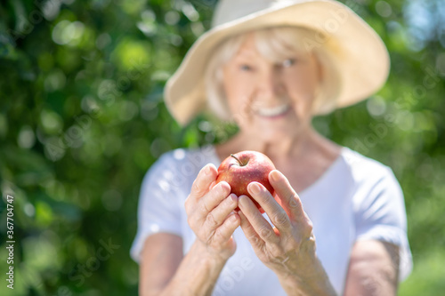 Elderly woman picked red and juicy apple