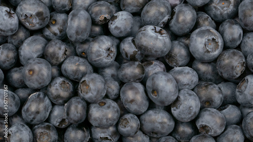 Raw blueberry background.