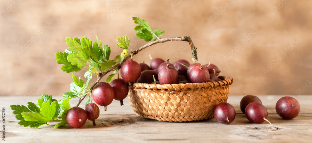 rustic environmentally friendly berry