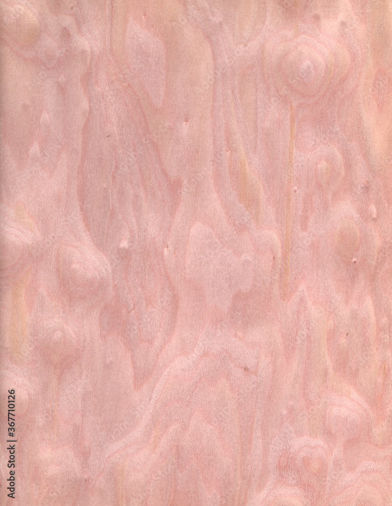 Fototapeta premium wood wall Veneer Pattern brown wooden material finish surface furniture burr texture wall background