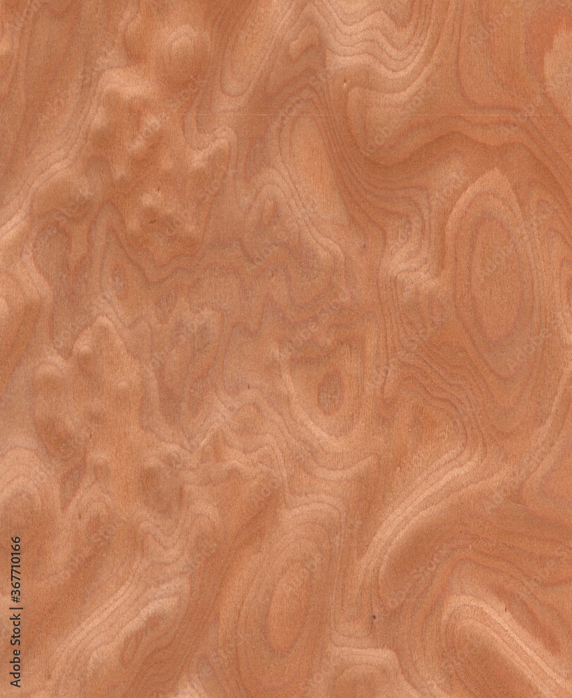 wood wall Veneer Pattern brown wooden material finish surface furniture burr texture wall background wood wall Veneer Pattern brown wooden material finish surface furniture burr texture wall background