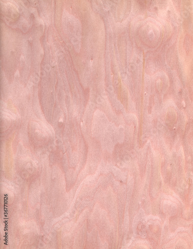 wood wall Veneer Pattern brown wooden material finish surface furniture burr texture wall background