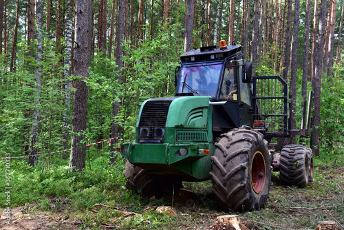 Crane forwarder machine at during clearing of a plantation. Wheeled harvester transports raw timber from the felling site out to a road for collection by a truck. Harvesters, forest Logging machines