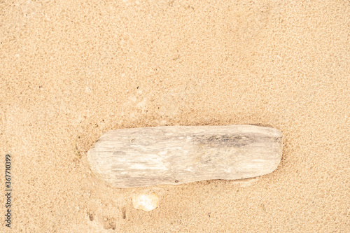 Fototapeta Naklejka Na Ścianę i Meble -  Sandy beach on the Baltic sea. Gulf of Finland. Summer. Rocks and mussel shells.