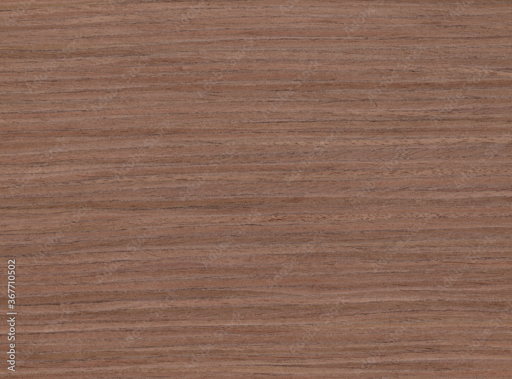 wood wall Veneer Pattern brown wooden material finish surface furniture burr texture wall background wood wall Veneer Pattern brown wooden material finish surface furniture burr texture wall background
