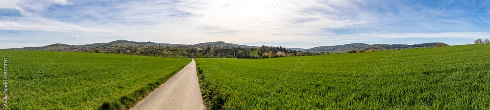 Fototapeta premium Panorama Winnenden Bürg und Heringshalde