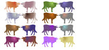 The colored bulls