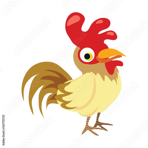 rooster