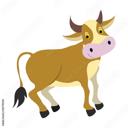 bull