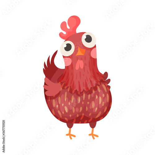 Feathered Hen as Farm Bird Isolated on White Background Vector Illustration
