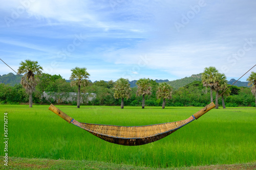 rattan cradle with green field background, hanging bench seat cradle hammock, clear blue sky and green field with rattan cradle