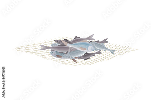 Fish Catch Rested on Fishing Net Isolated on White Background Vector Illustration