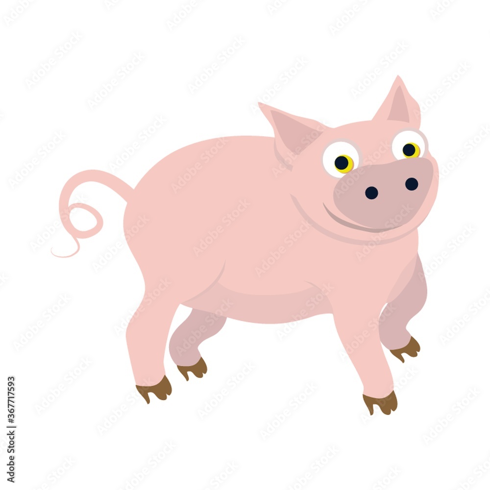 Fototapeta premium pig
