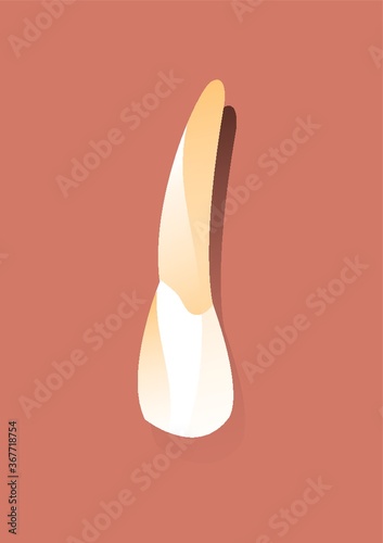 tooth