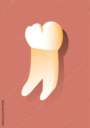 molar tooth