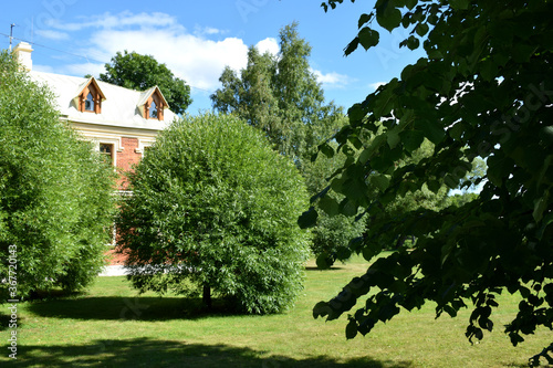 Fototapeta Naklejka Na Ścianę i Meble -  garden with trees