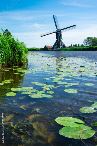 Oudendijkse Molen in Hoornaar, near river Giessen. The Netherlands photo