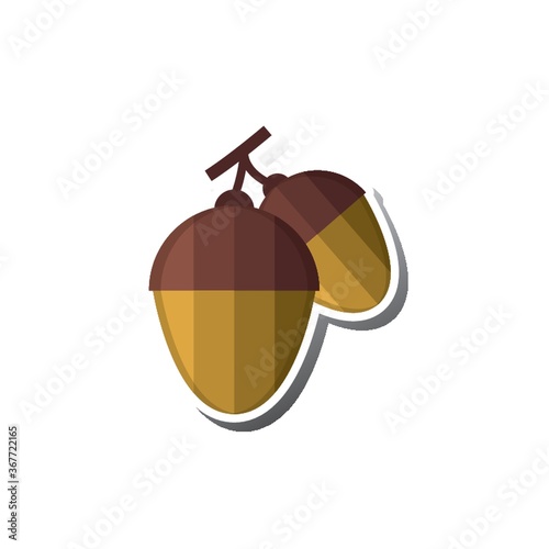 acorn