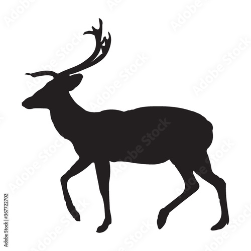 silhouette of reindeer