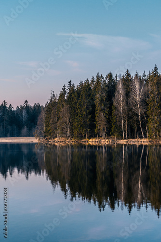 reflection of trees in the lake with blue sky