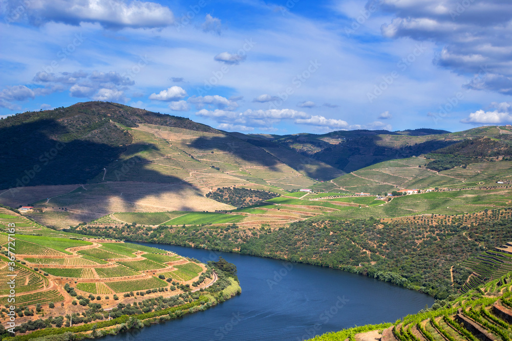 Fototapeta premium Douro Valley landscape