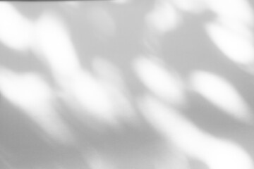 Blurred overlay effect for photo. Organic drop shadow and dappled light on a white wall. Abstract neutral nature concept background for design presentation. Shadows for natural light effects