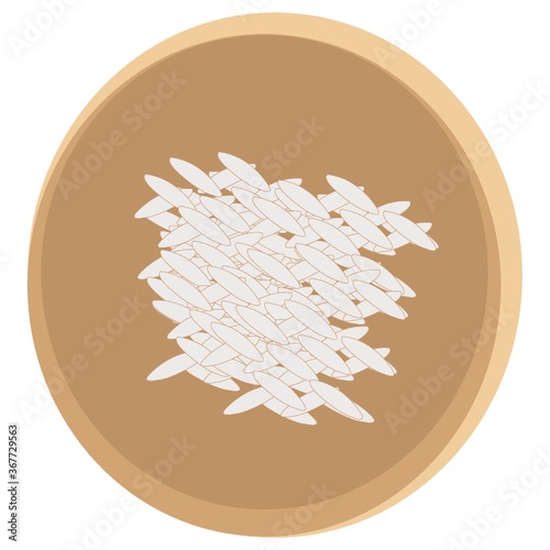 rice grains