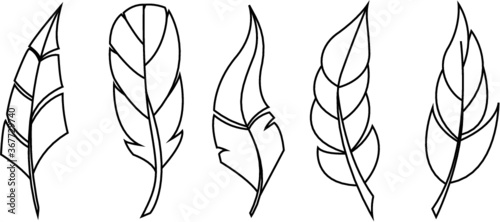 Vector bird feathers set of line illustration
