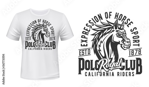 Stallion t-shirt, equestrian sport print mockup, horse races club. Wild horse stallion or mustang, equine riding and horse races California Riders Royal jockey polo club t shirt print