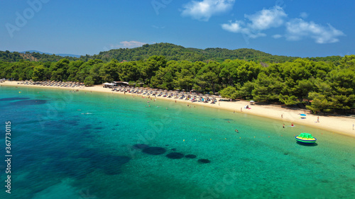 Aerial drone photo of beautiful popular organised sandy bay  turquoise beach and natural preserve lake with pine trees of Koukounaries  Skiathos island  Sporades  Greece