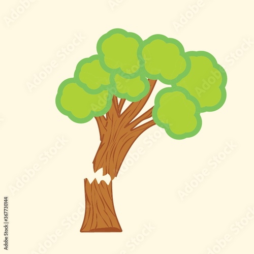 tree with broken trunk