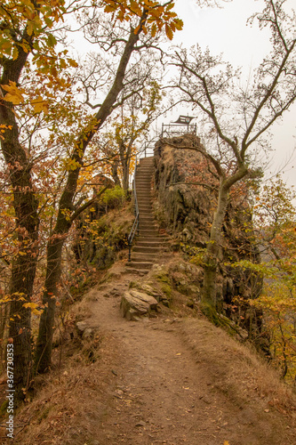 path in the autumn forest