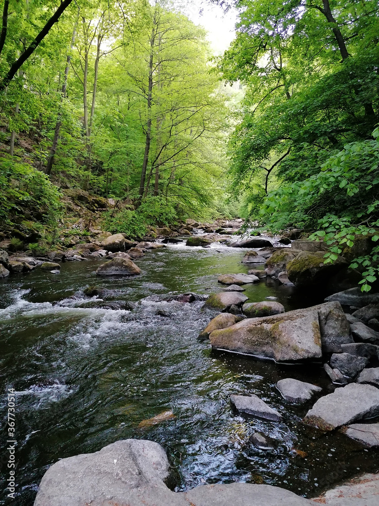 River Bode near Thale, Germany