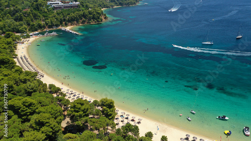 Aerial drone photo of beautiful popular organised sandy bay  turquoise beach and natural preserve lake with pine trees of Koukounaries  Skiathos island  Sporades  Greece