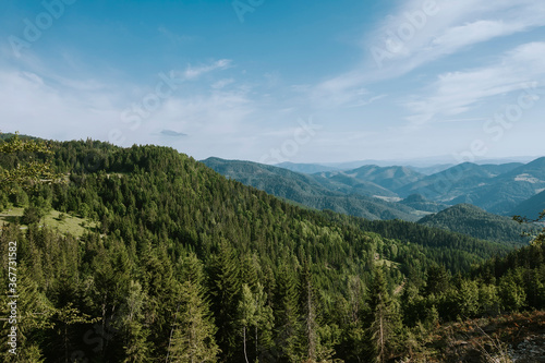 Aerial view at mountain forest on a summer day