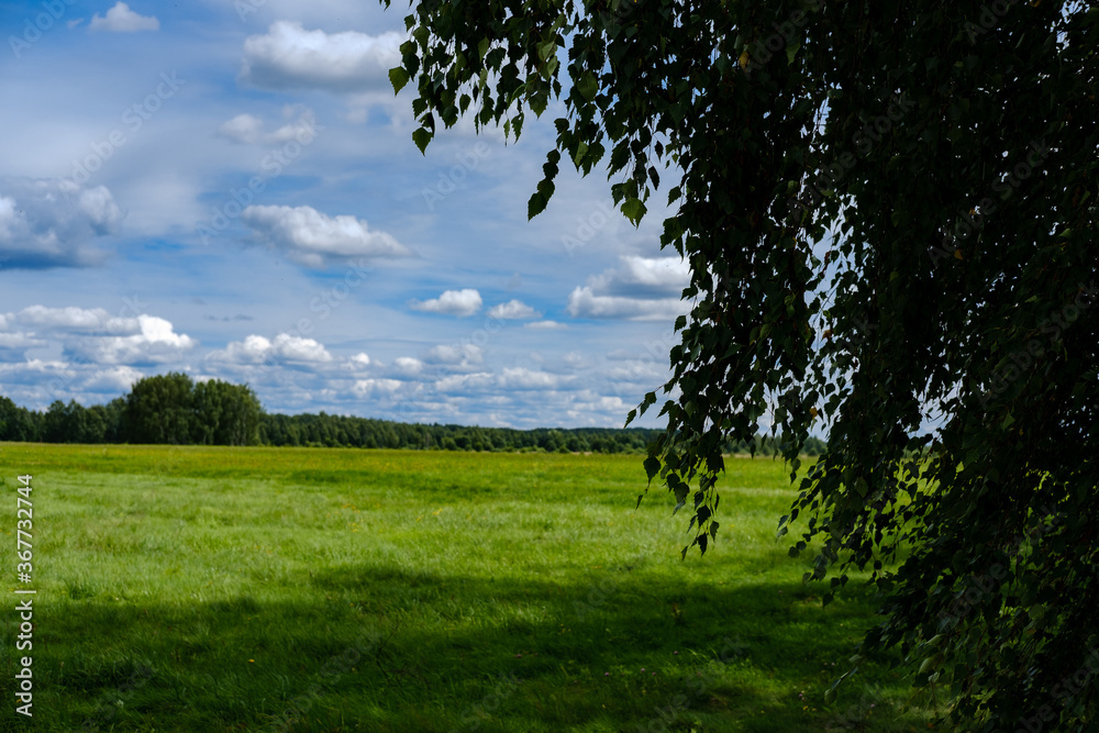 A landscape with a field with green grass, tree branches in the foreground, forest and the sky in the background. A landscape with a field with green grass, tree branches in the foreground, forest and the sky in the background.