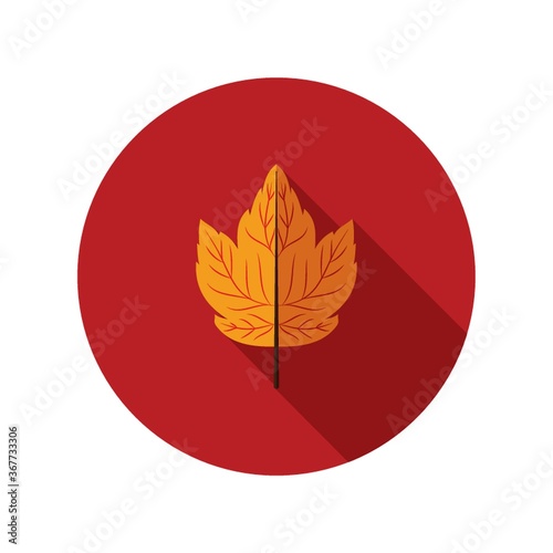 autumn leaf