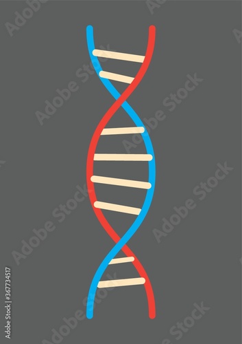 dna structure diagram