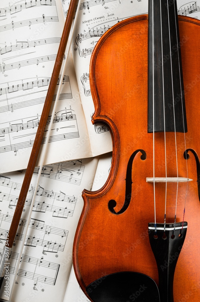 Naklejka premium Violin.